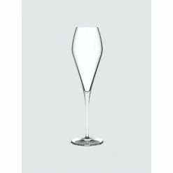 NUDE Glass Fantasy Champagne Glass. Set Of 2 Drinkware