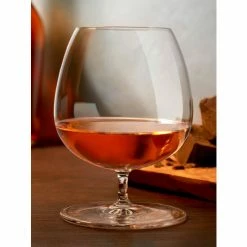 NUDE Glass Vintage Cognac Glasses Set Of 2 Barware -Adesso Shop unnamed file 849