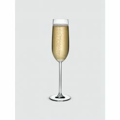 Adesso Shop 32 NUDE Glass Vintage Champagne Glasses Set Of 2 Barware