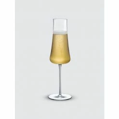 NUDE Glass Stem Zero Volcano Champagne Glass Barware